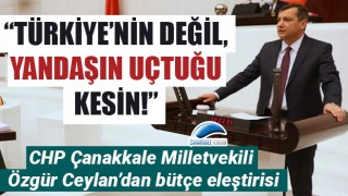 CHP’li Ceylan’dan bütçe eleştirisi: “Türkiye’nin değil, yandaşın uçtuğu kesin!”