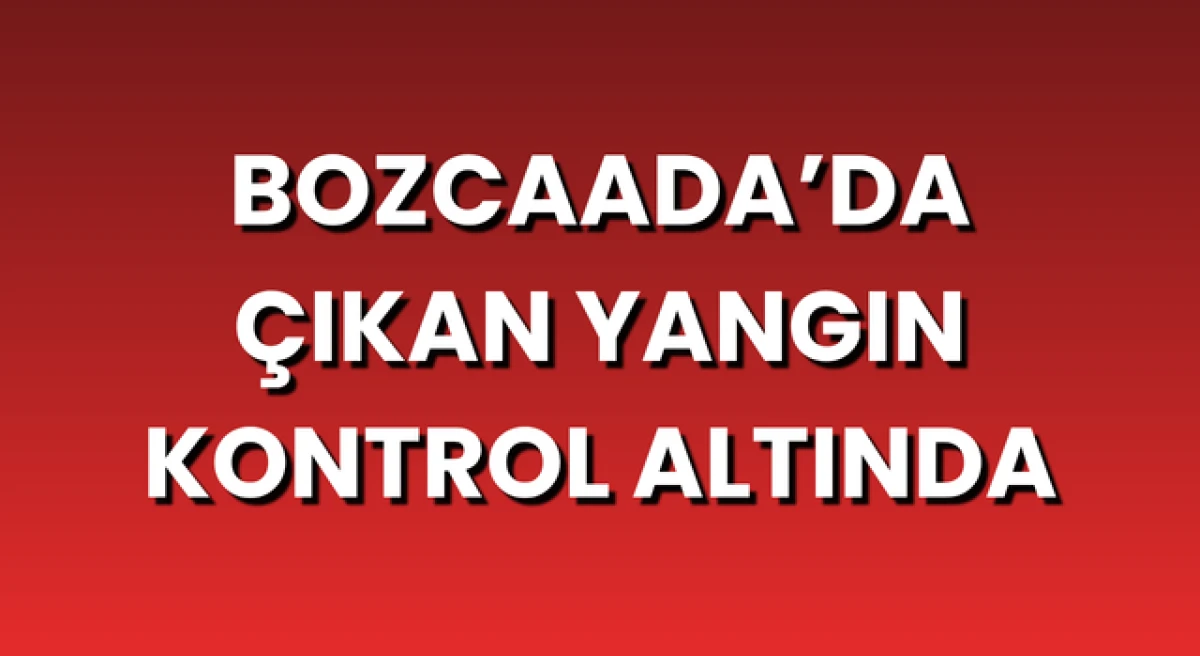 Bozcaada&rsquo;da &ccedil;ıkan yangın kontrol altında