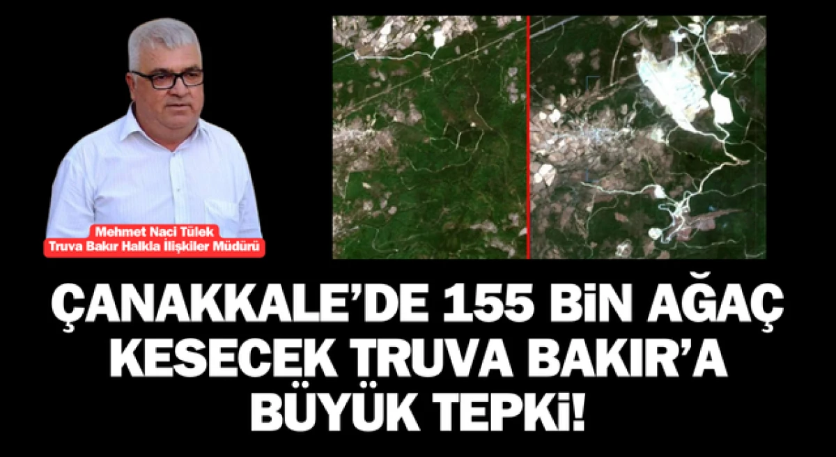 Çanakkale’de 155 bin ağaç kesecek Truva Bakır’a büyük tepki!