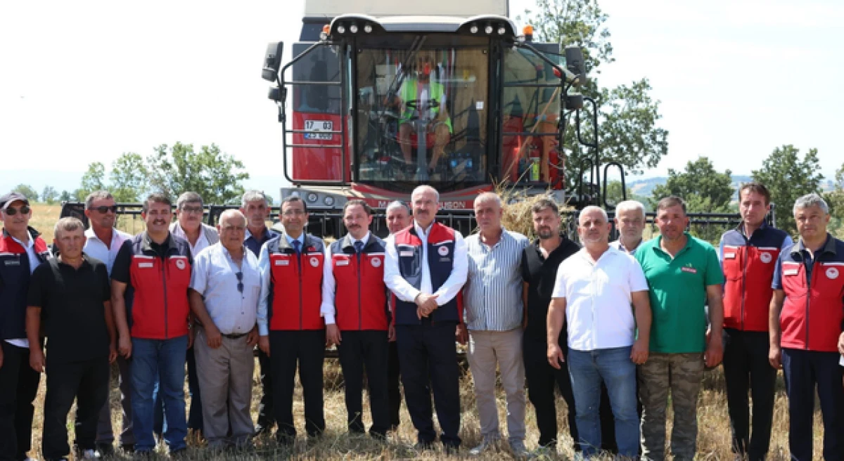 &Ccedil;anakkale&rsquo;de arpa hasadı başladı