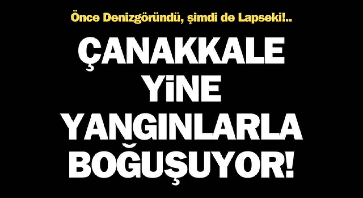 Çanakkale’de bir yangın haberi de Lapseki’den!