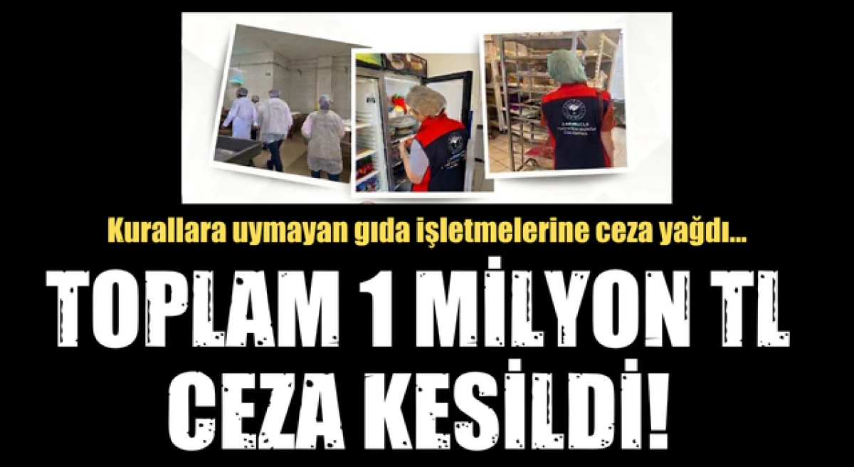 &Ccedil;anakkale&rsquo;de kurallara uymayan gıda işletmelerine ceza yağdı!