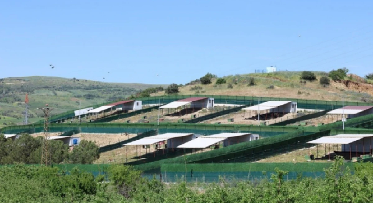 &Ccedil;anakkale&rsquo;de sokak hayvanlarıyla ilgili &ouml;nemli gelişme