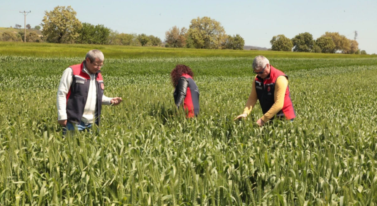 &Ccedil;anakkale&rsquo;de tarım arazileri denetleniyor