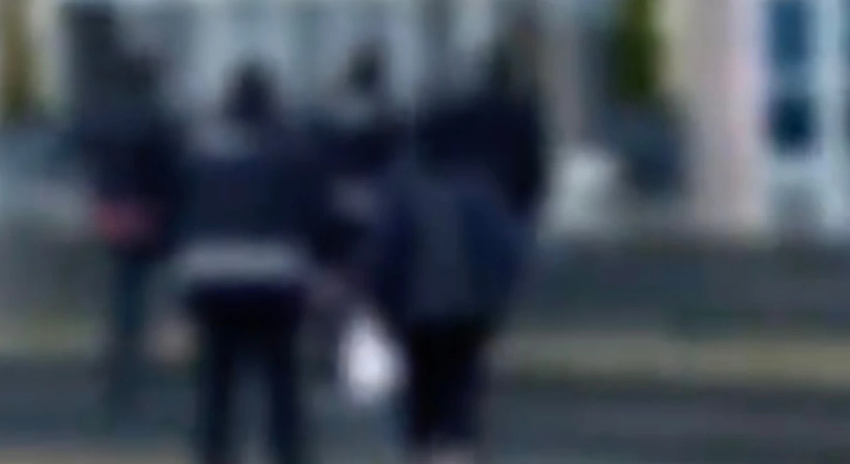 &Ccedil;anakkale&rsquo;de tefeci operasyonu: 1 tutuklama!