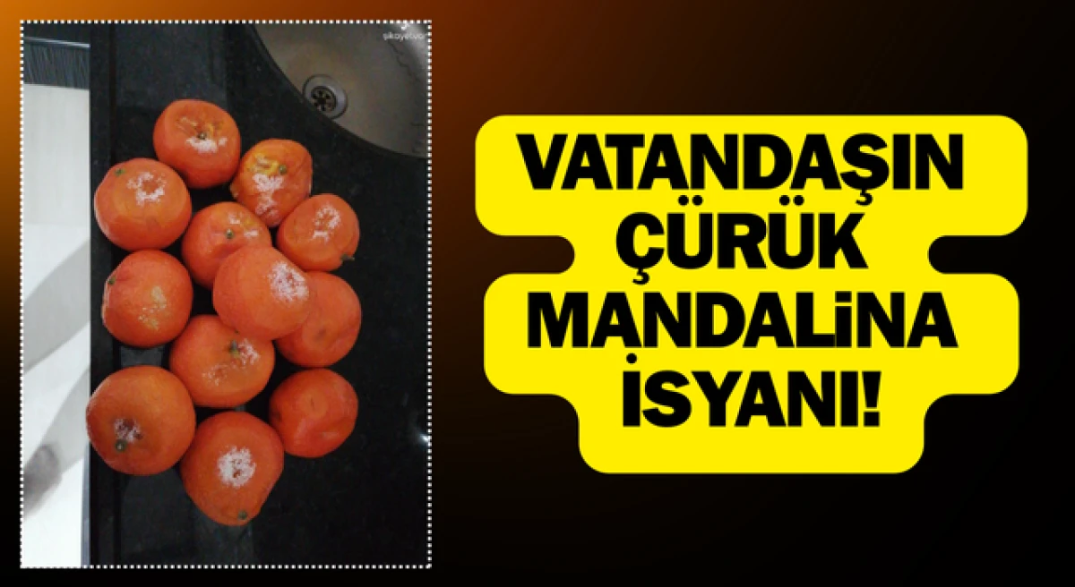 Çanakkale’de vatandaşın çürük mandalina isyanı!