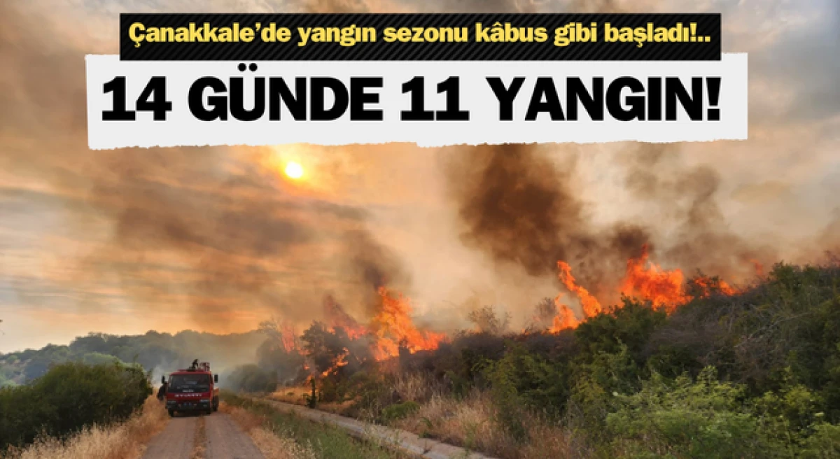Çanakkale’de yangın sezonu kâbus gibi başladı: 14 günde 11 yangın!