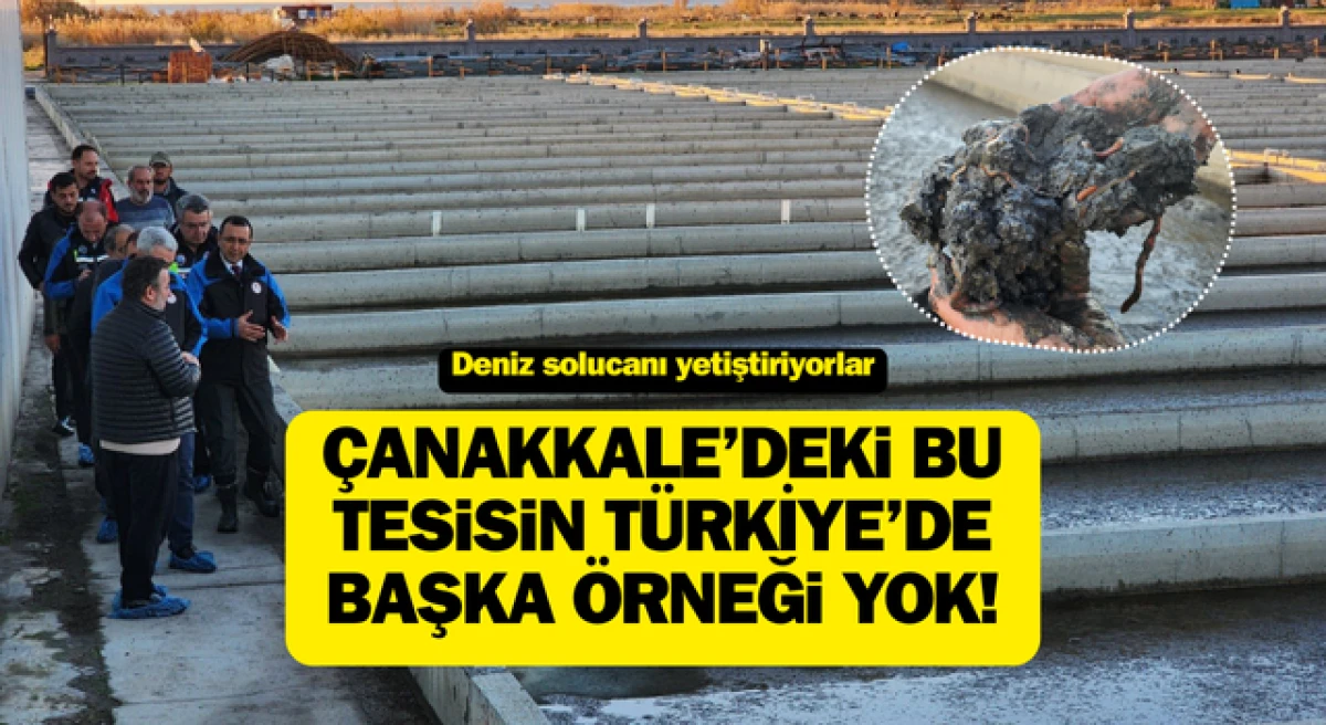 Çanakkale’deki bu tesisin Türkiye’de başka örneği yok!