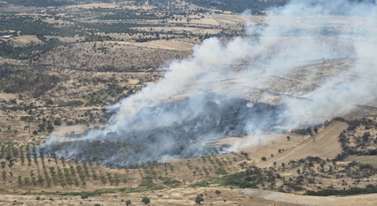 &Ccedil;anakkale&rsquo;deki yangın kontrol altında!