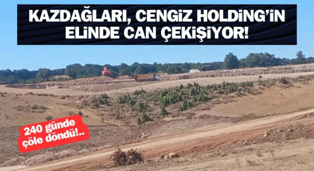 Cengiz Holding, Kazdağları’nı 240 günde çölleştirdi!