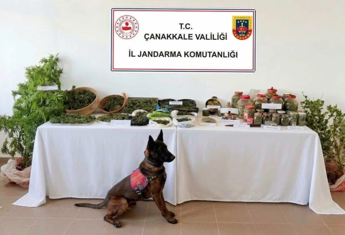 Eceabat&rsquo;taki ka&ccedil;ak&ccedil;ılık operasyonunda 1 g&ouml;zaltı!