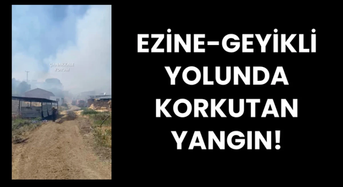 Ezine-Geyikli yolunda yangın!
