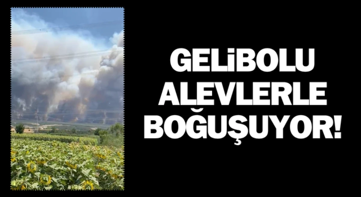 Gelibolu alevlerle boğuşuyor!