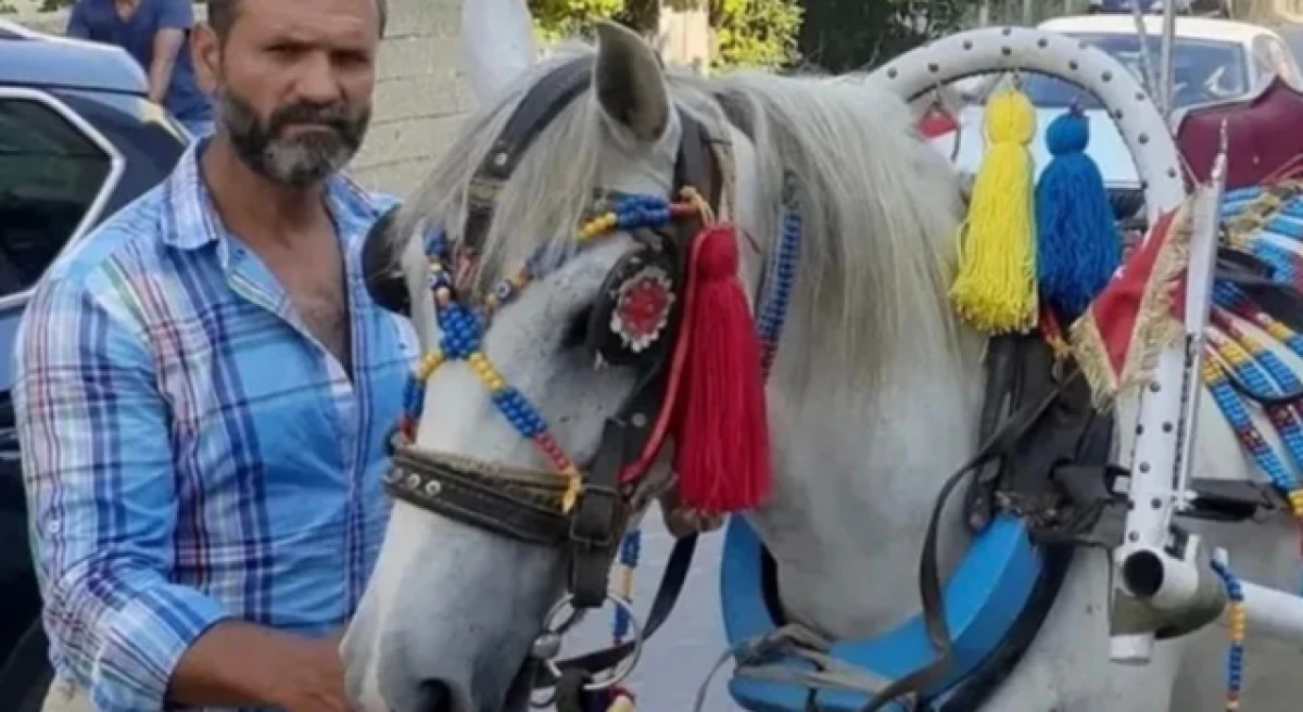 Gelibolu&rsquo;da korkun&ccedil; olay: Ayaklarını bağladıkları atı işkenceyle &ouml;ld&uuml;rm&uuml;şler!