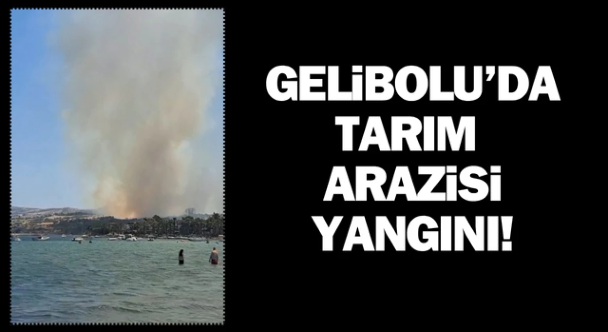 Gelibolu’da tarım arazisinde yangın çıktı!