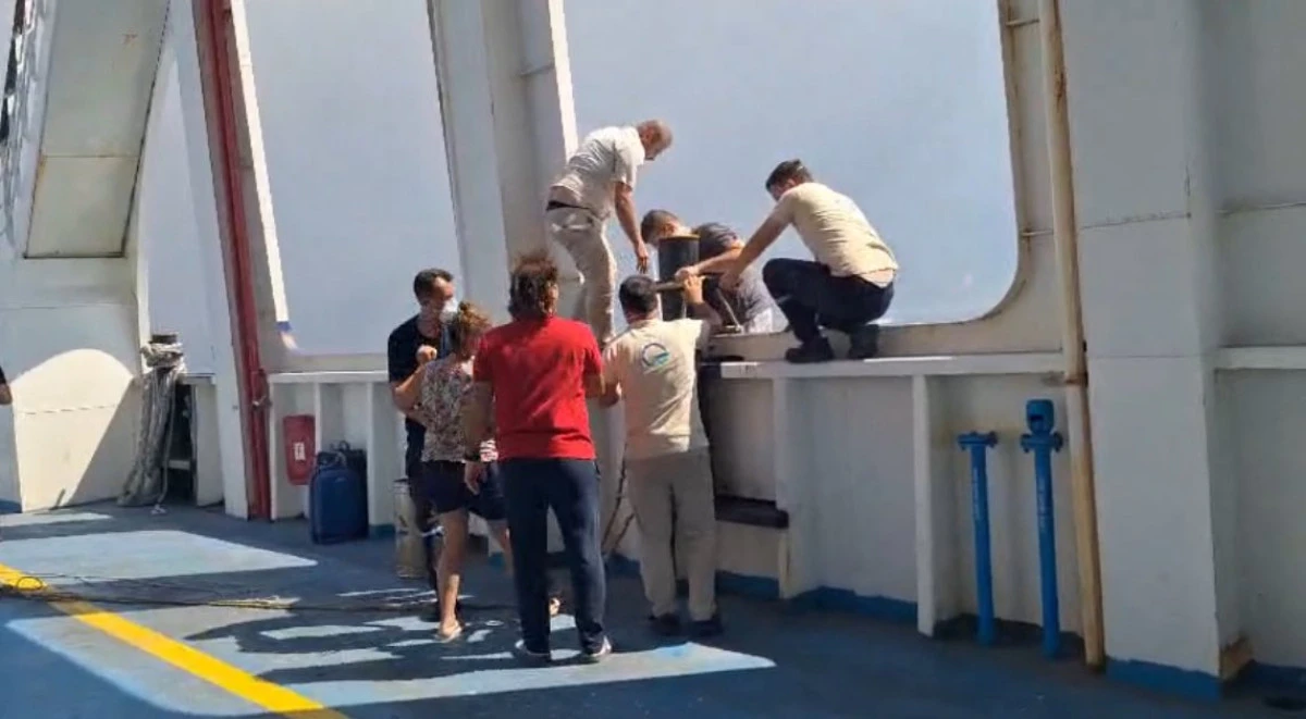 Gestaş feribotu yangın bölgesinde: Vatandaşlar denizden tahliye ediliyor