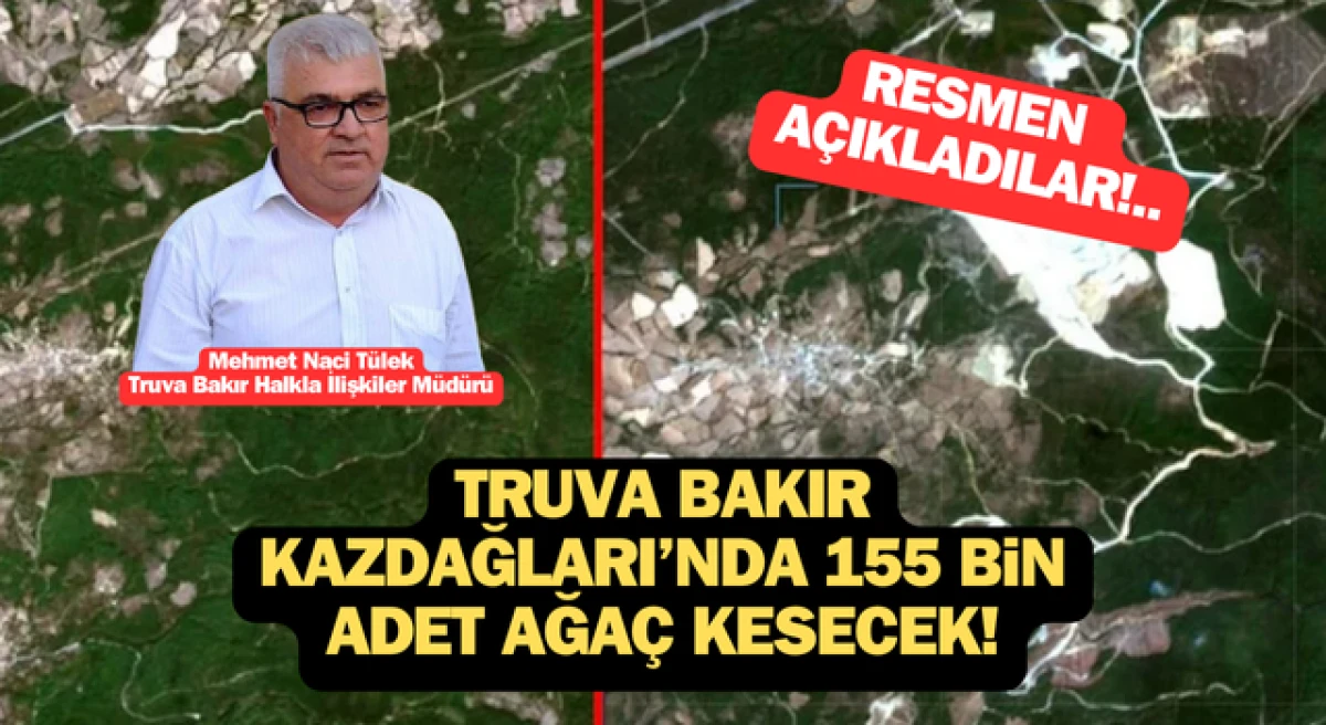 Truva Bakır, Çanakkale Kazdağları’nda 155 bin adet ağaç kesecek!