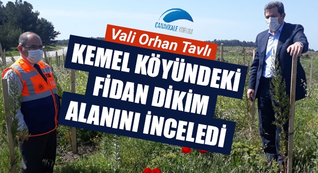 Vali Tavlı, Kemel köyündeki fidan dikim alanını inceledi