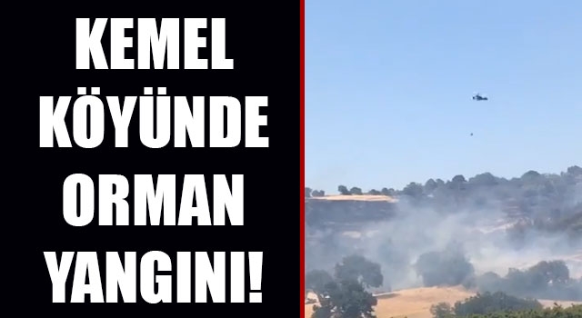 Kemel köyünde orman yangını: Havadan ve karadan söndürme çalışmaları sürüyor!