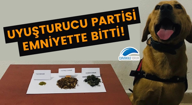 Biga'da uyuşturucu partisi emniyette bitti!