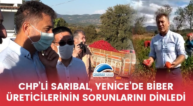 CHP'li Sarıbal, Yenice'de biber üreticilerinin sorunlarını dinledi