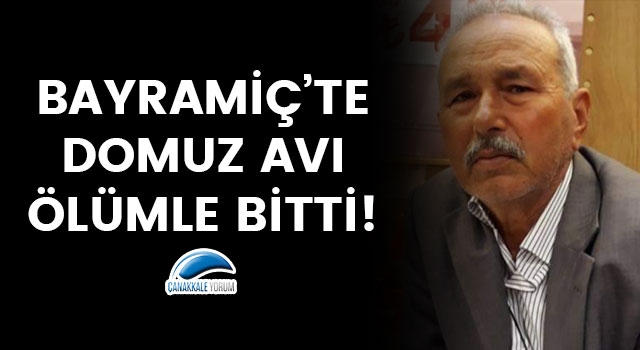 Bayramiç'te domuz avı ölümle bitti!