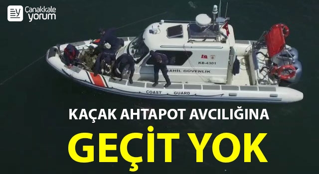 Çanakkale’de kaçak ahtapot avcılığına geçit yok