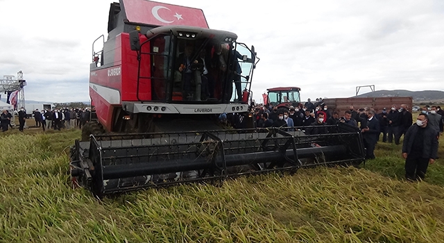 Bakan Pakdemirli, Biga’da çeltik hasadına katıldı