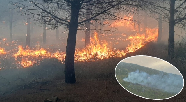 Karabiga’daki orman yangını kontrol altında – Çanakkale Yorum