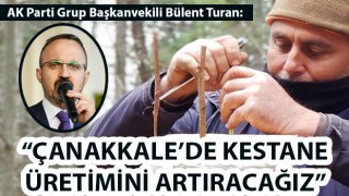 Bülent Turan: "Çanakkale'de kestane üretimini artıracağız"