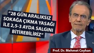 Prof. Dr. Mehmet Ceyhan: "28 gün aralıksız sokağa çıkma yasağı ile 2,5-3 ayda salgını bitirebiliriz"