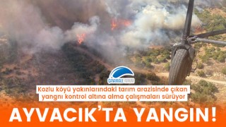 Ayvacık'ta tarım arazisinde yangın!