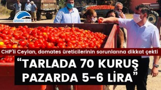 Özgür Ceylan: “Çanakkale domatesi tarlada 70 kuruş, pazarda 5-6 lira”