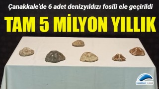 Çanakkale’de 5 milyon yıllık denizyıldızı fosilleri ele geçirildi!