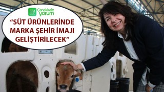 AK Parti’li İskenderoğlu: “Süt ürünlerinde marka şehir imajı geliştirilecek”