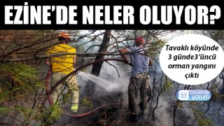 Ezine’de neler oluyor? Tavaklı köyünde 3 günde 3’üncü orman yangını çıktı!