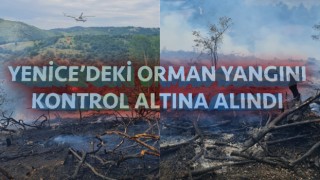 Yenice’deki orman yangını kontrol altında