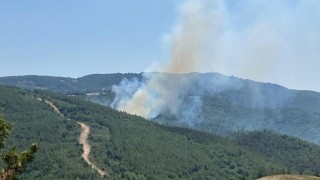 Biga'da çıkan orman yangını kontrol altına alındı