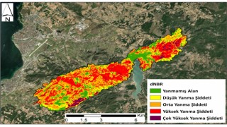 ÇOMÜ, Çanakkale yangınlarının bilançosunu açıkladı