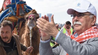 Çanakkale’deki deve güreşinin maliyeti belli oldu!