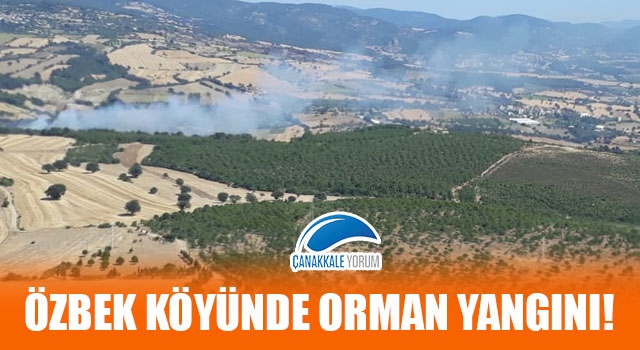 Özbek köyünde orman yangını!