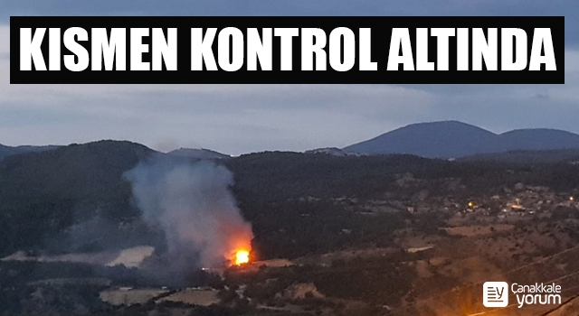 Sarıbeyli köyündeki yangın kısmen kontrol altında