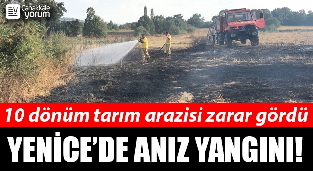 Yenice’de anız yangını: 10 dönüm tarım arazisi zarar gördü!