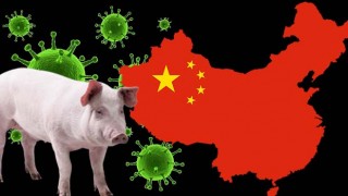 Çin'de yeni virüs paniği