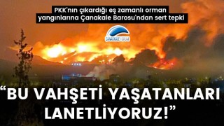 PKK'nın çıkardığı eş zamanlı orman yangınlarına Çanakkale Barosu'ndan sert tepki: "Bu vahşeti yaşatanları lanetliyoruz"