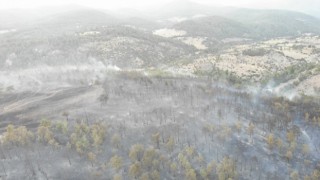 Bayramiç'teki orman yangınında 30 hektarlık alan zarar gördü!