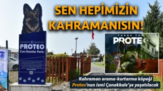 Kahraman köpek Proteo’nun ismi Çanakkale’de ölümsüzleşti